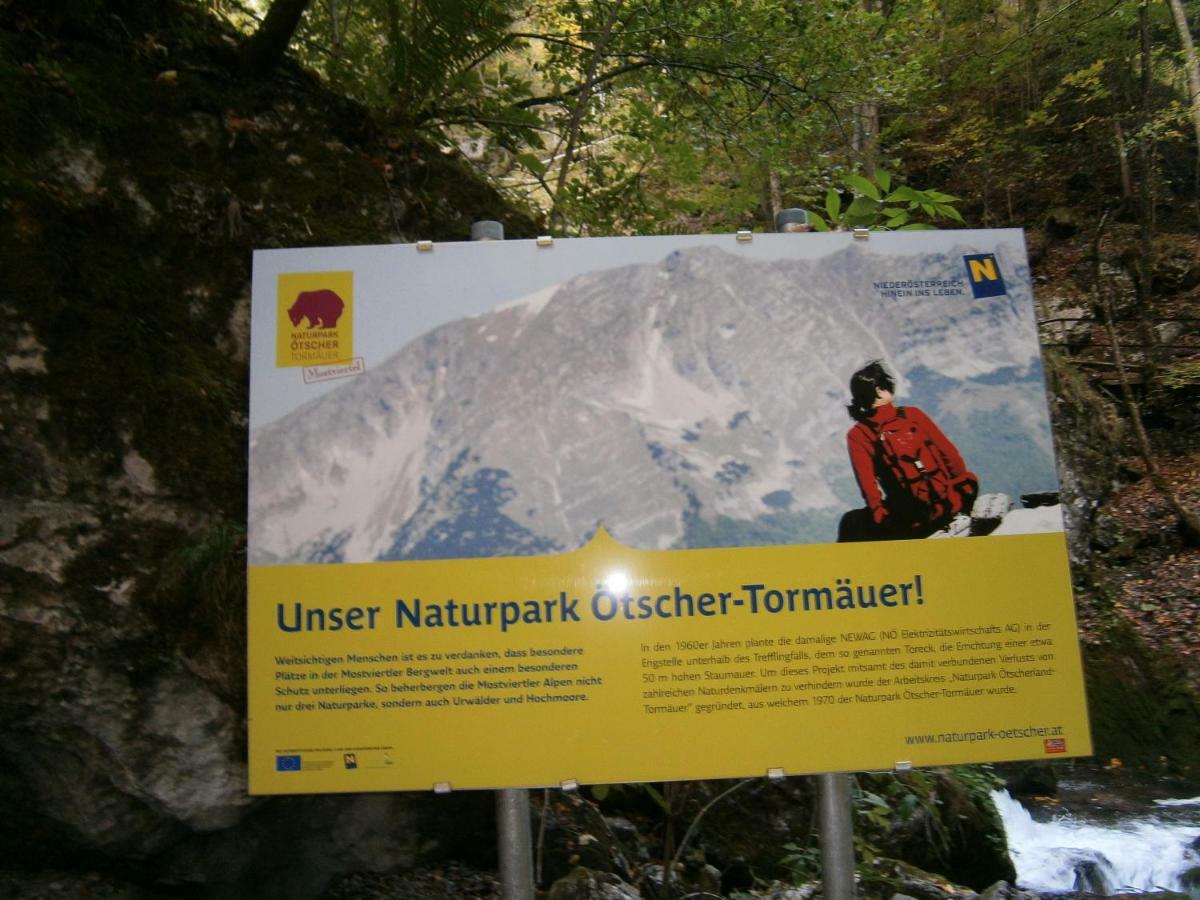 Fruehstueckspension Irmer Gaming Bagian luar foto