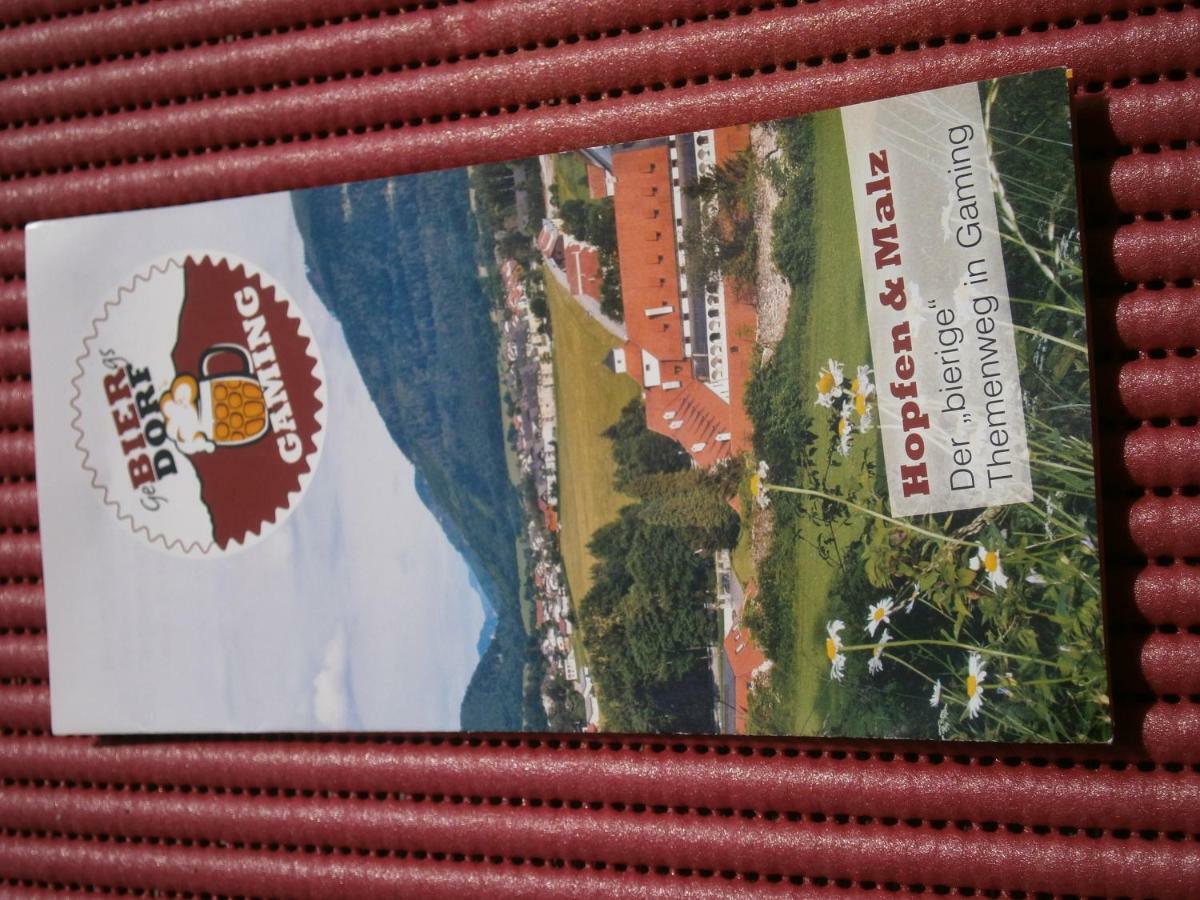 Fruehstueckspension Irmer Gaming Bagian luar foto